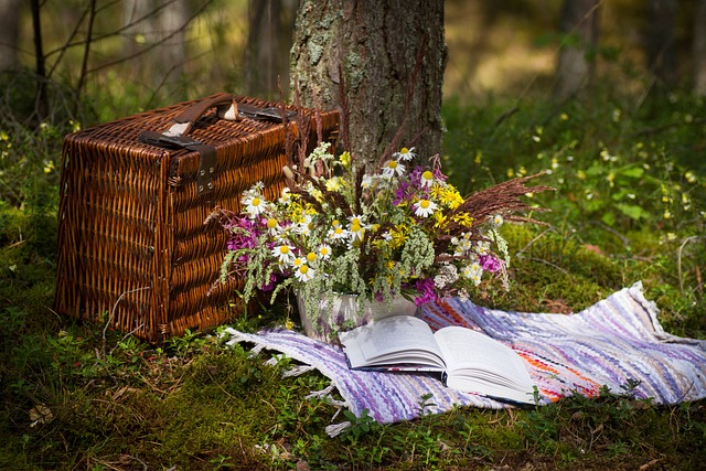 De bedste DIY-ideer til at pifte dit picnictæppe op med personlige detaljer
