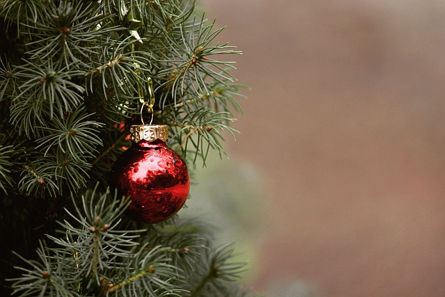Gør juletræet til en fest: 7 kreative dekorationstips